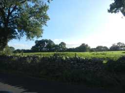 Distance shot of the Doe Park Cross Base 2016