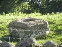 The Doe Park Cross Base 2016