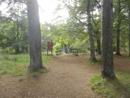 Distance shot of the Wynch Bridge 2016