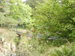 Distance shot of the Wynch Bridge 2016