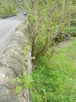 Photograph of side of wall on Upper Forge Bridge, Urpeth 2016