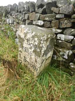 Photograph of side of milestone 2016