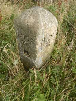 Portrait of west and south face of Milestone, B6282 west of track to Heather Lea, 2016 2016