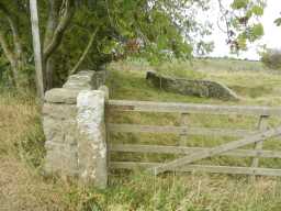 Gate next to Old Bridge over Nor Beck, 2016 2016