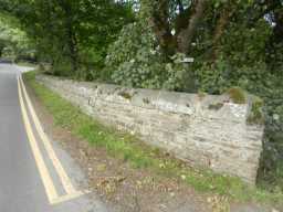 Wall of Ettersgill Bridge 2016