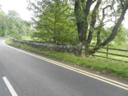 Fence by Ettersgill Bridge 2016