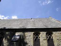 Photograph of roof of Church of the Holy Trinity, Startforth 2016