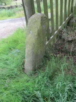 Photograph of Boundary Stone c. 20m W of Stuartfield Lodge 2016