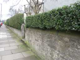 Photographs of Walls in front of 53-59 & 59A Galgate, from other direction 29/3/17
