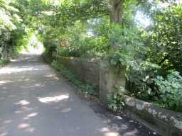 Photograph of wall and road over Starling Bridge, Stanley 2016