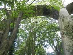 Photograph of Pontburn Viaduct 2016