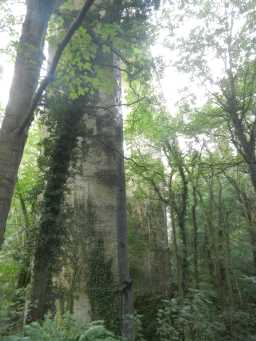 Side view photograph of Pontburn Viaduct 2016