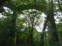 Photograph of Pontburn Viaduct arches 2016