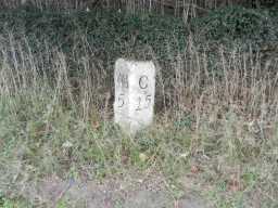 Milestone, A68 north of Witton le Wear from front© DCC 2016