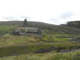 Park level mine masterman washer's hut,view from bottom of hill 2016