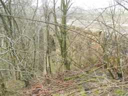 Blackton Bridge over Eggleston Burn, Eggleston-view of arch from bank 2017
