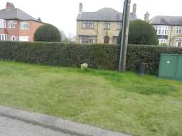 County Council Marker Stone at 77 Staindrop Road view from road towards houses 2017