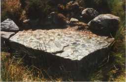 Cup-marked boulder, Wash Beck, Barningham Moor, Teesdale 1980-1997