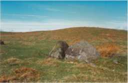 Landscape view of a cup-and-ring-marked boulder, Scale Knoll, Barningham Moor 1980-1997