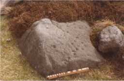 Cup-marked boulder with scale, Washbeck Green, Barningham Moor 1980-1997