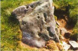 Other angle of a cup-marked boulder, Barningham Moor 1980-1997