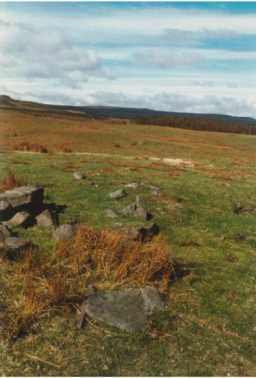 View across valley of a cup-marked boulder, Scale Knoll, Barningham Moor, Teesdale 1980-1997
