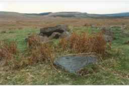 Photograph of a cup-marked boulder, Scale Knoll, Barningham Moor, Teesdale 1980-1997