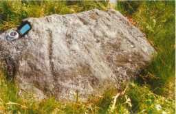Photograph of a cup-marked boulder, with vertical grooves on Barningham Moor, Teesdale 1980-1997