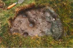 Photograph of multiple cups & a possible cup-and-ring marking, Scale Knoll, Barningham Moor 1980-1997