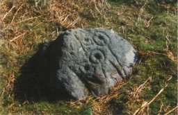 A complex cup-and-ring-marked boulder, Scale Knoll, Barningham Moor, Teesdale 1980-1997