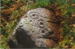 A cup-and-ring-marked boulder, Scale Knoll, Barningham Moor