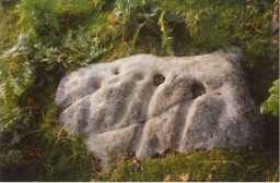 Cup-marked and linear-grooved boulder, Bragg House, Barningham Moor 1980-1997