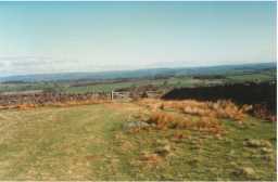Cup- and groove- marked boulder within field setting, Bragg House, Barningham Moor