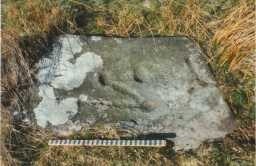Photograph of cup-markings joined by grooves on a boulder at Scale Knoll, Barningham Moor 1980-1997