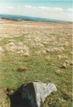 An upstanding cup-marked boulder within its landscape setting, Barningham Moor 1980-1997