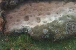 Photograph of multiple cup-markings on a boulder, North of Eel Hill, Barningham Moor 1980-1997