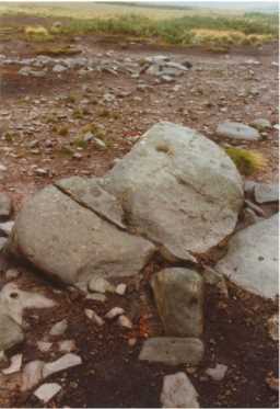 Cup-marked boulder, North-North-West of Eel Hill, Barningham Moor, Teesdale 1980-1997