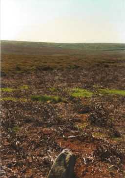 Landscape surrounding a cup-marked boulder, Wash Beck, Barningham Moor 1980-1997