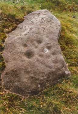 Photograph of a cup-marked boulder, North of Osmaril Gill, Barningham Moor 1980-1997