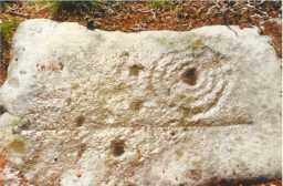 Photograph of a complex cup-and-ring-marked panel, Haythwaite Farm, Barningham Moor 1980-1997