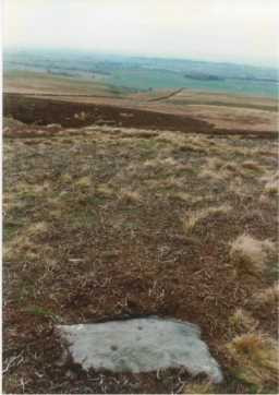 Landscape beyond a cup-and-ring-marked panel, Haythwaite Farm, Barningham Moor 1980-1997