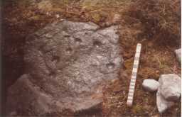 Photograph, with scale, of a cup-and-ring-marked boulder, Osmaril Gill, Barningham Moor 1980-1997