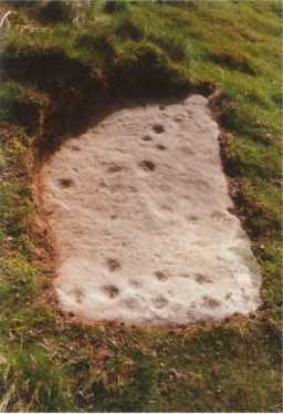 Photograph of a multiple cup-marked boulder, Eel Hill, Barningham Moor 1980-1997