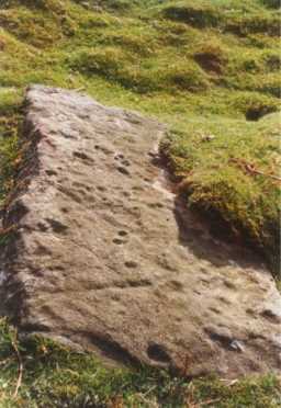 Photograph of a complex cup- and groove-marked boulder, below Eel Hill, Barningham Moor 1980-1997