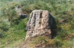 Photograph of a linear-grooved boulder, Eel Hill North, Barningham Moor 1980-1997