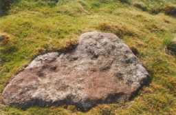 Photograph of a cup-marked boulder, Eel Hill North, Barningham Moor 1980-1997