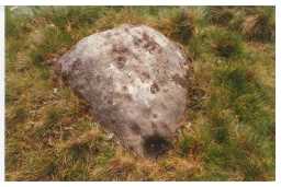 Photograph of a cup-marked boulder, Osmaril Gill, Barningham Moor 1980-1997