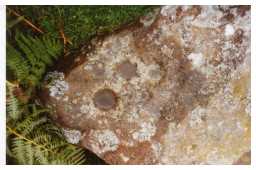 1 larger and 10 smaller cup-markings on a boulder, Osmaril Gill, Barningham Moor 1980-1997