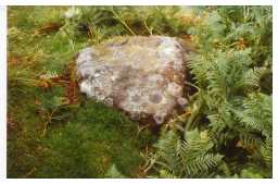 Cup-marked boulder, Osmaril Gill, Barningham Moor 1980-1997