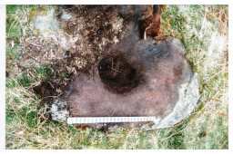 Large cup and several smaller cup-markings on a boulder, Osmaril Gill, Barningham Moor 1980-1997